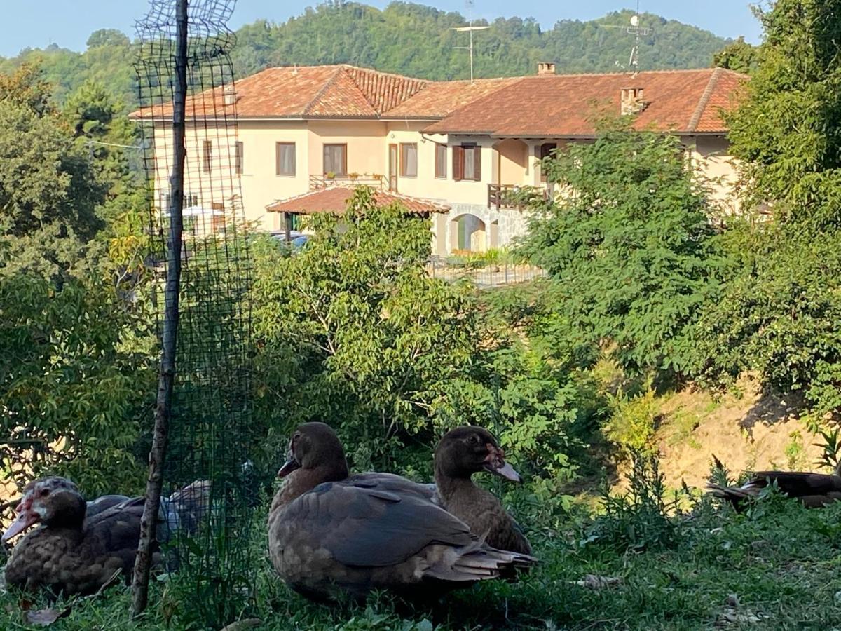 Come Una Volta Farm Brozolo Kültér fotó