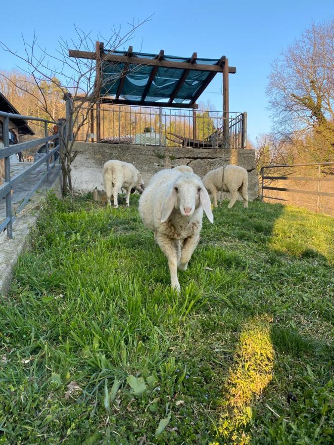 Come Una Volta Farm Brozolo Kültér fotó